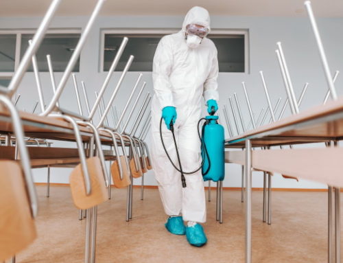 Safe Commercial Cleaning and Disinfection Services for Schools and Universities